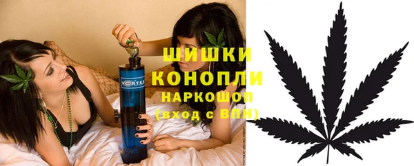 сатива Домодедово