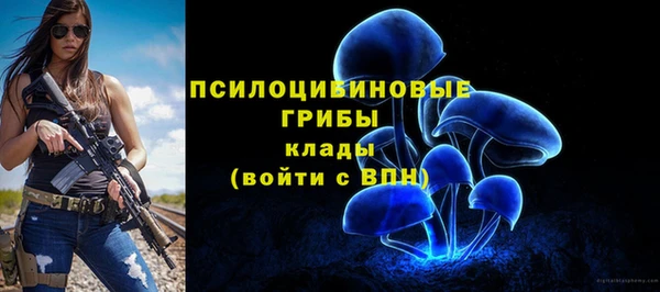 спиды Магадан